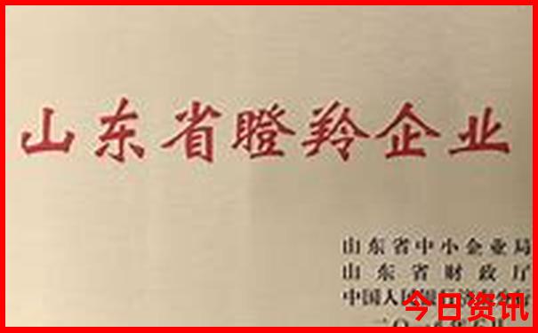 台儿庄有什么好玩的地方旅游景点